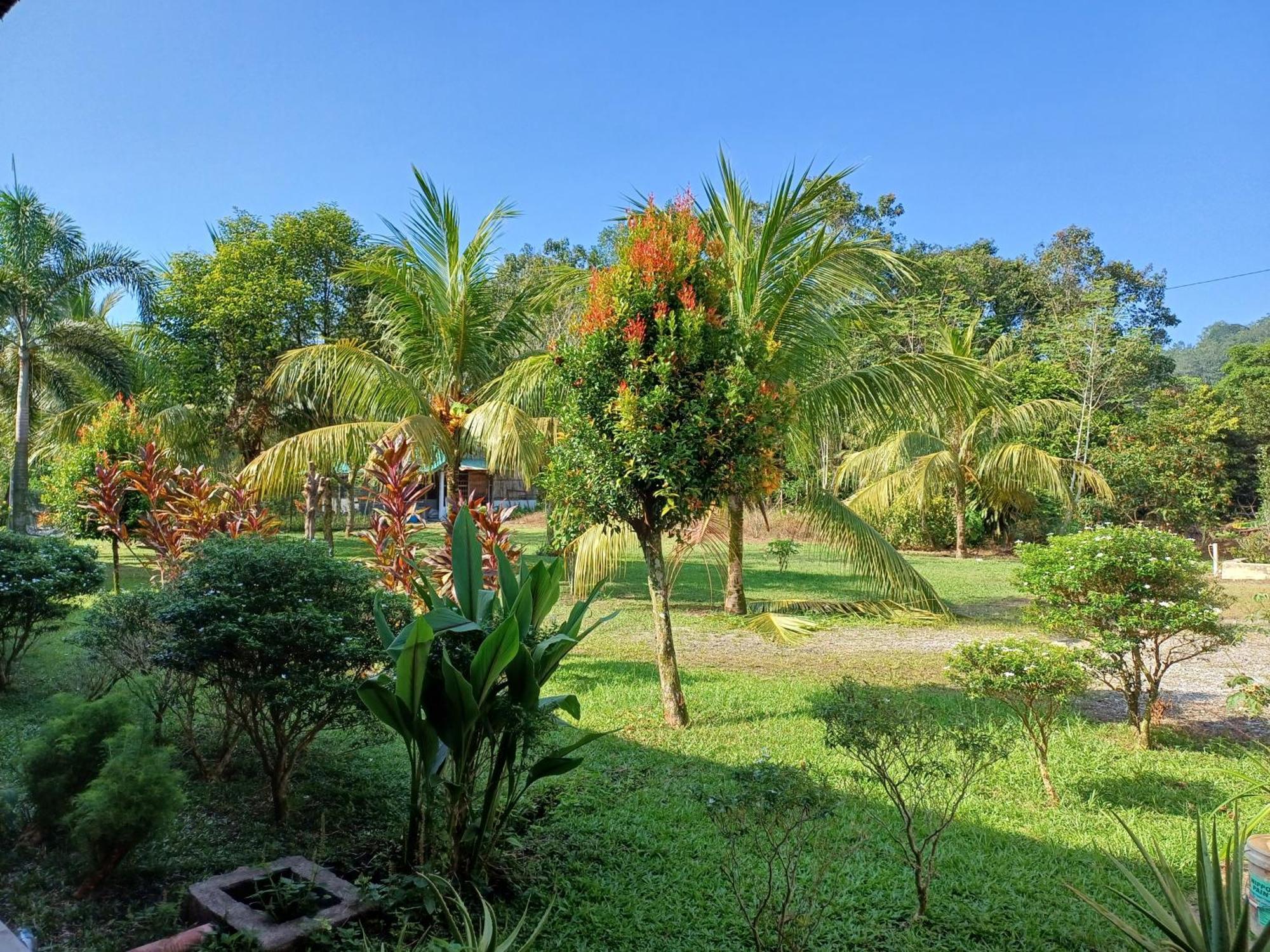 Lemuni Retreat & Training Centre - Kerling, Selangor酒店 外观 照片