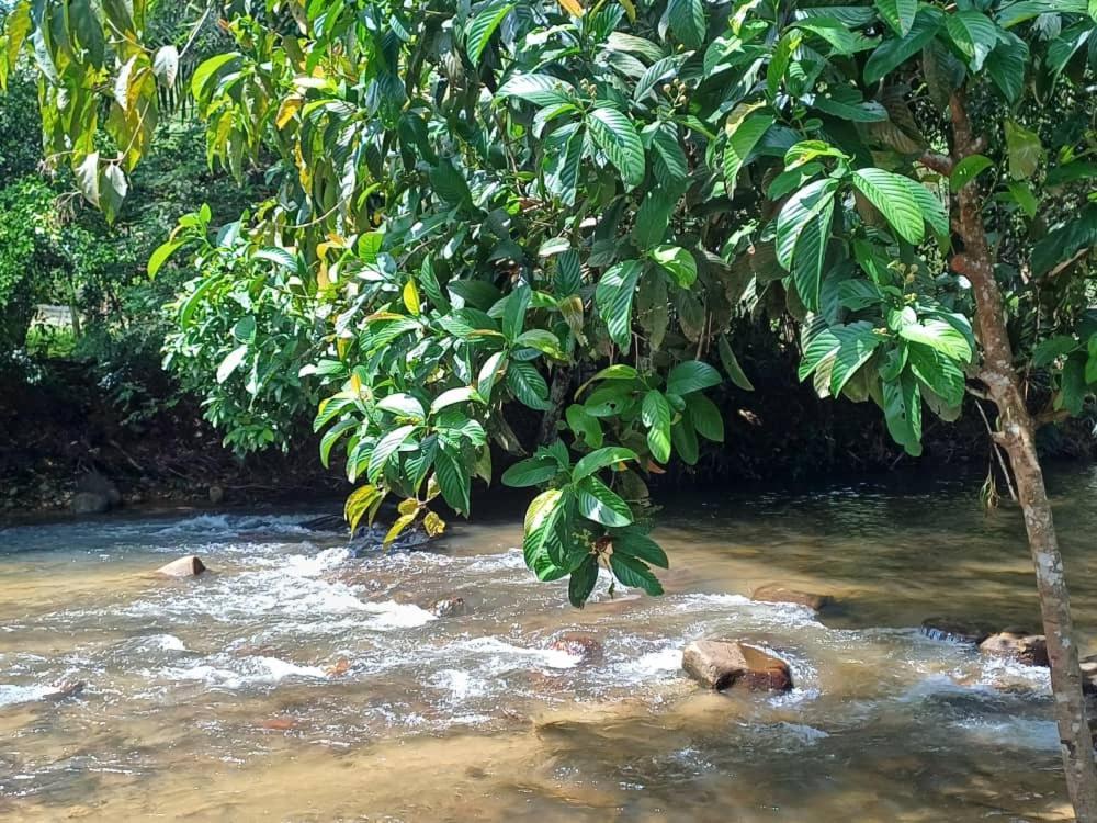 Lemuni Retreat & Training Centre - Kerling, Selangor酒店 外观 照片